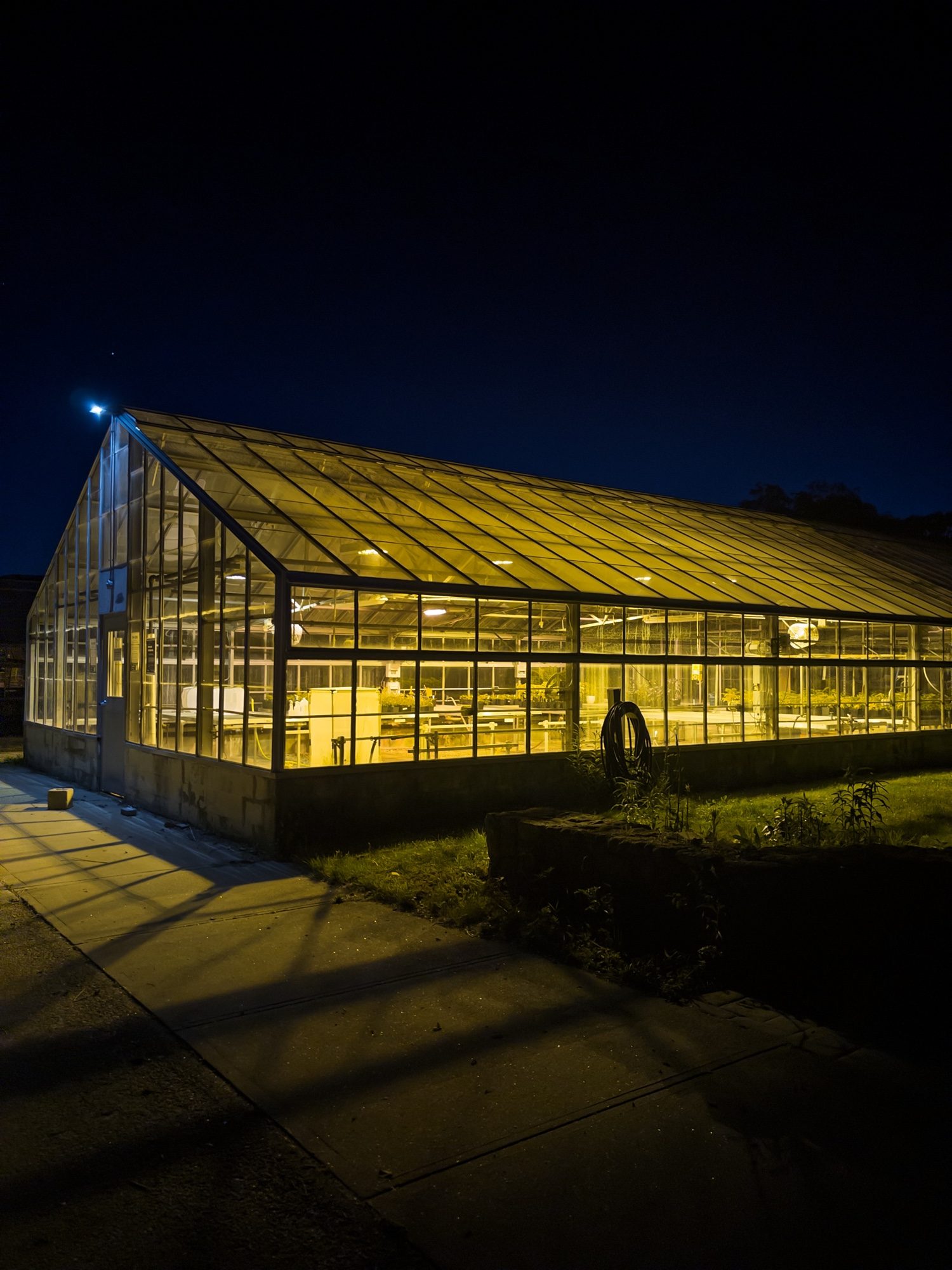 Greenhouse glowing yellow at night