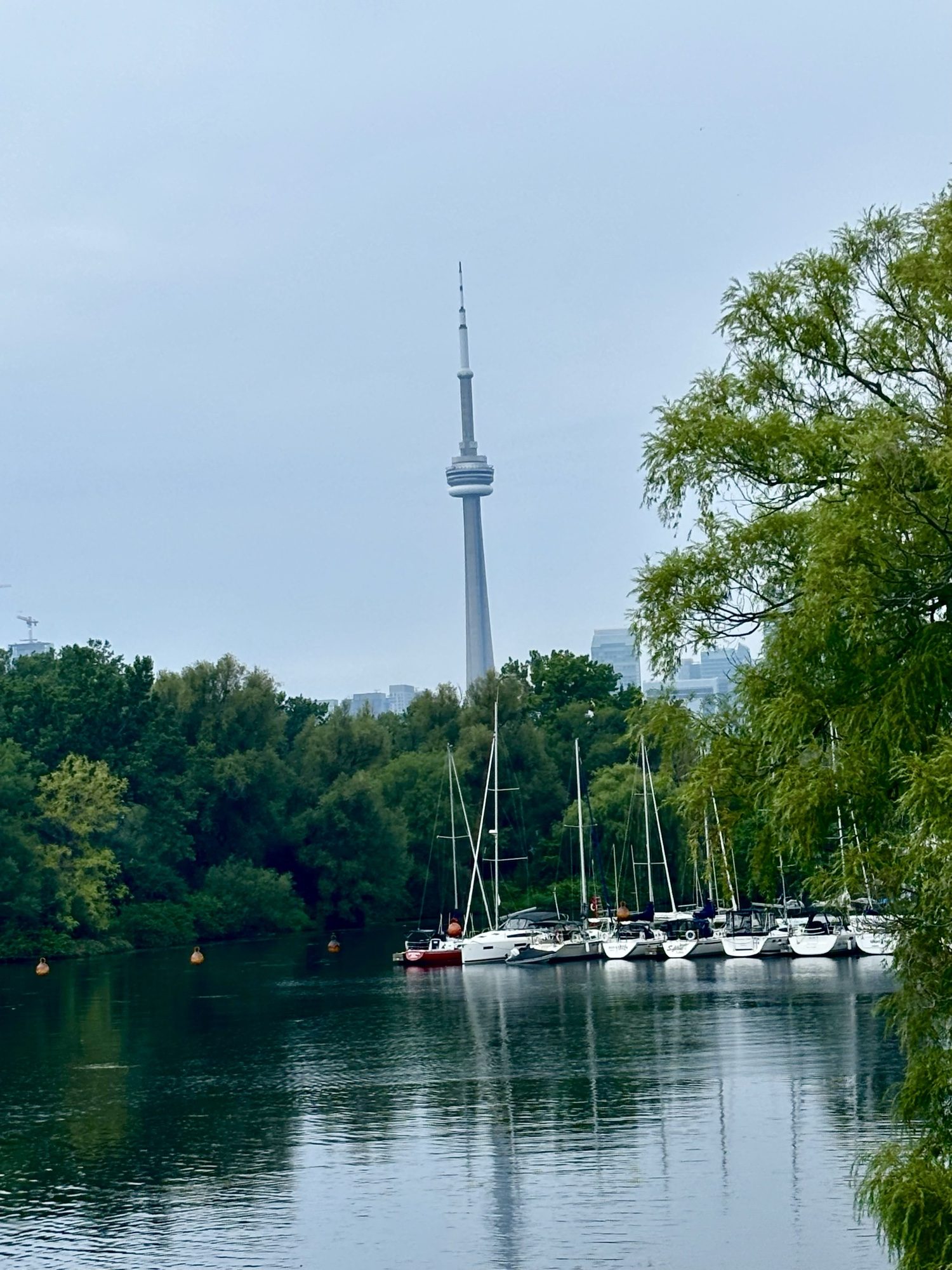 CN Tower rising above trees and sailboats moored in a harbour