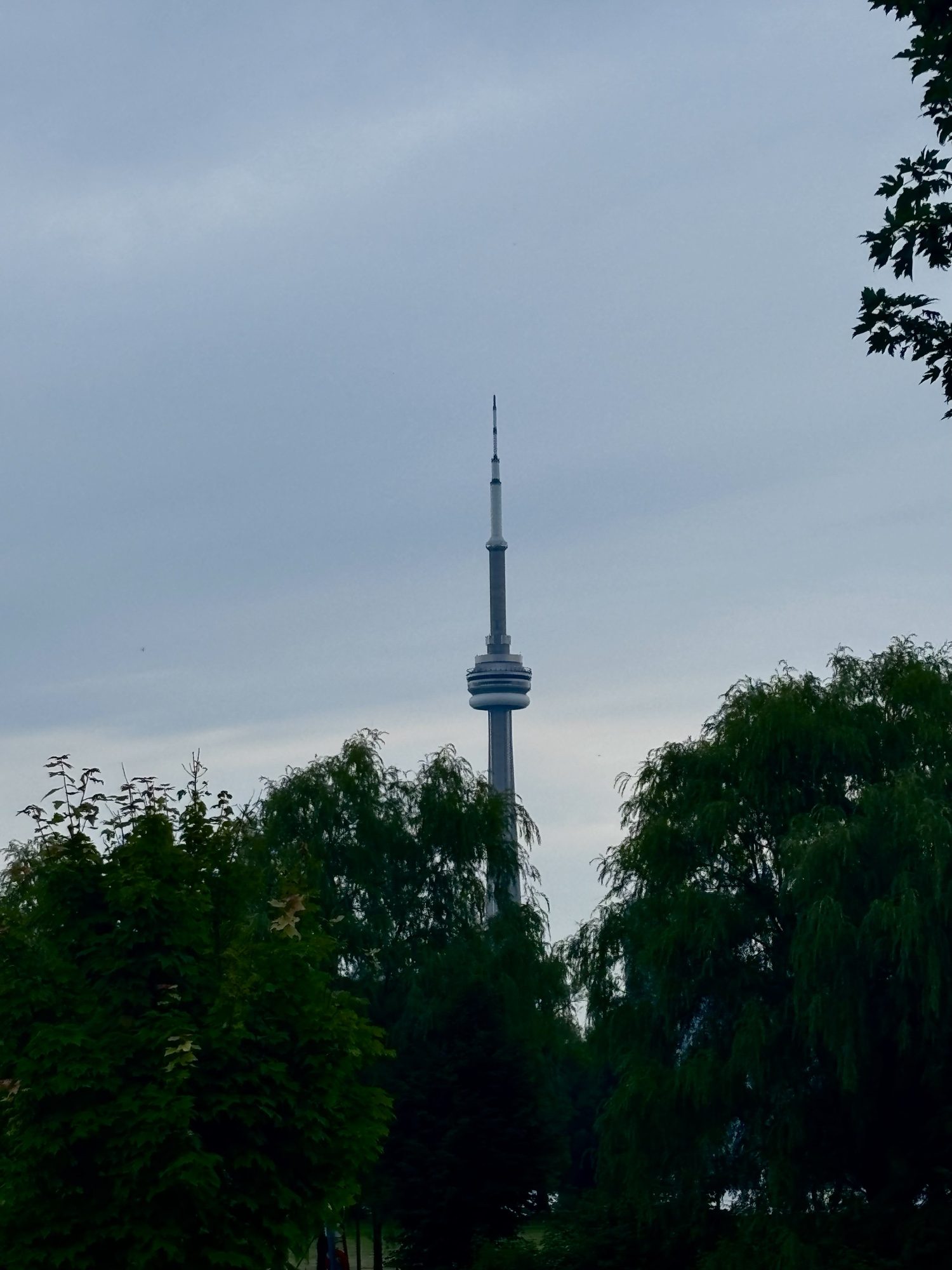 CN Tower rising above the treetops under an overcast sky