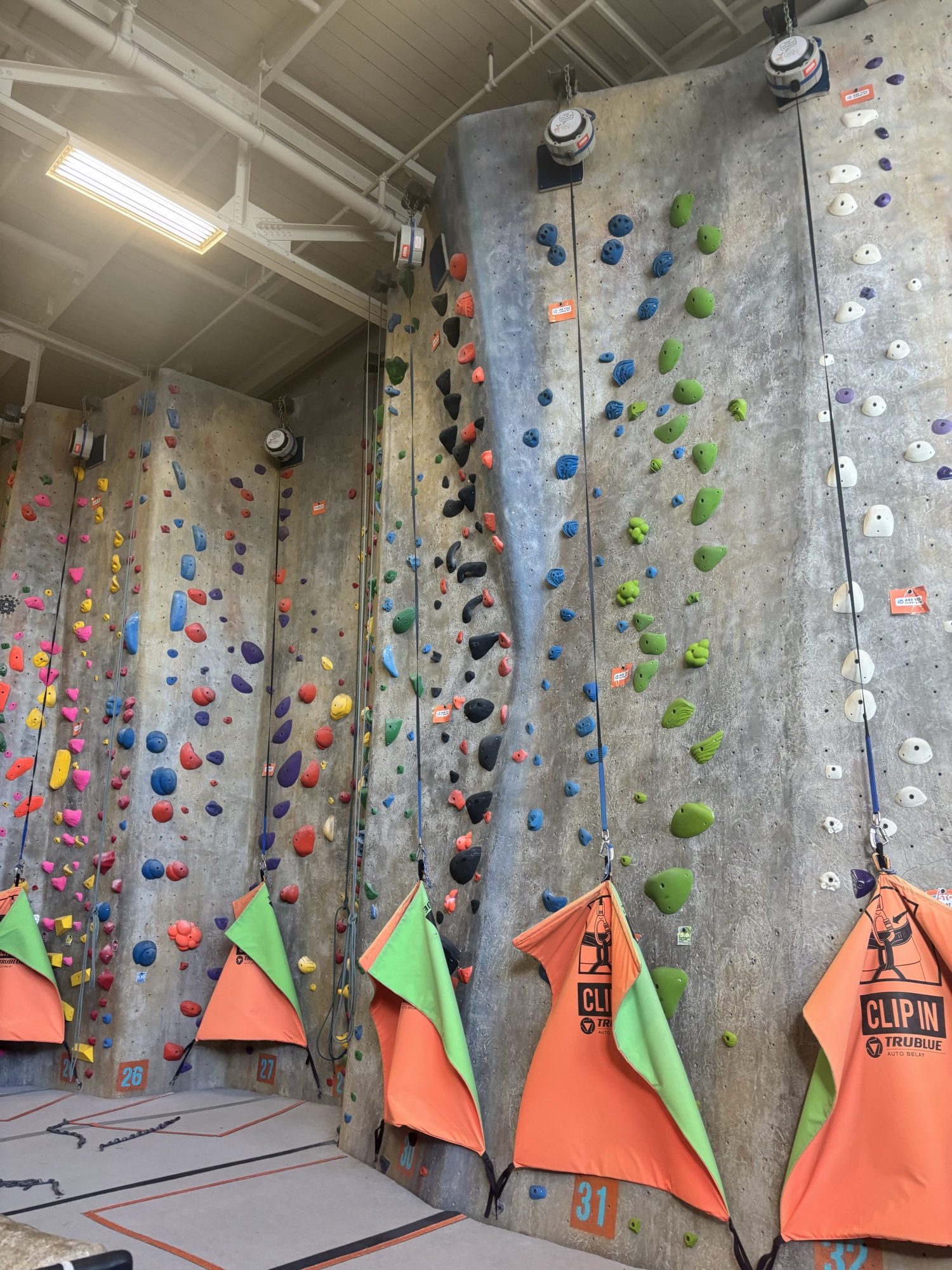Tall climbing walls covered in colourful holds, with orange auto-belay covers at the base