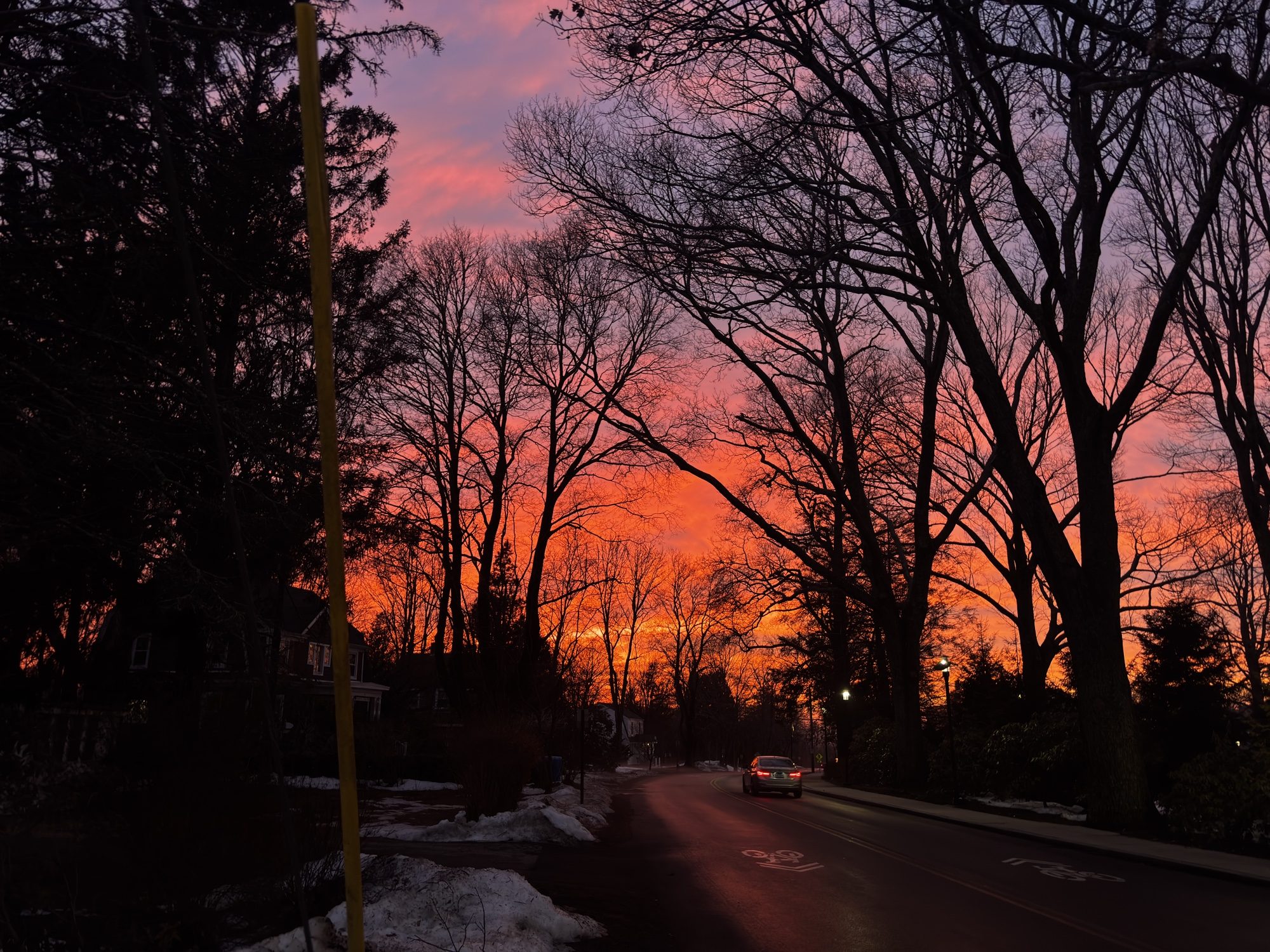 Orange and pink sunset through bare winter trees over a snowy road