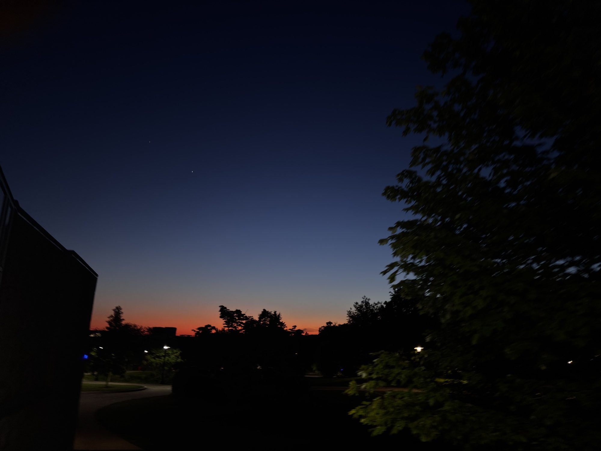 Orange sunset glow on the horizon behind silhouetted trees