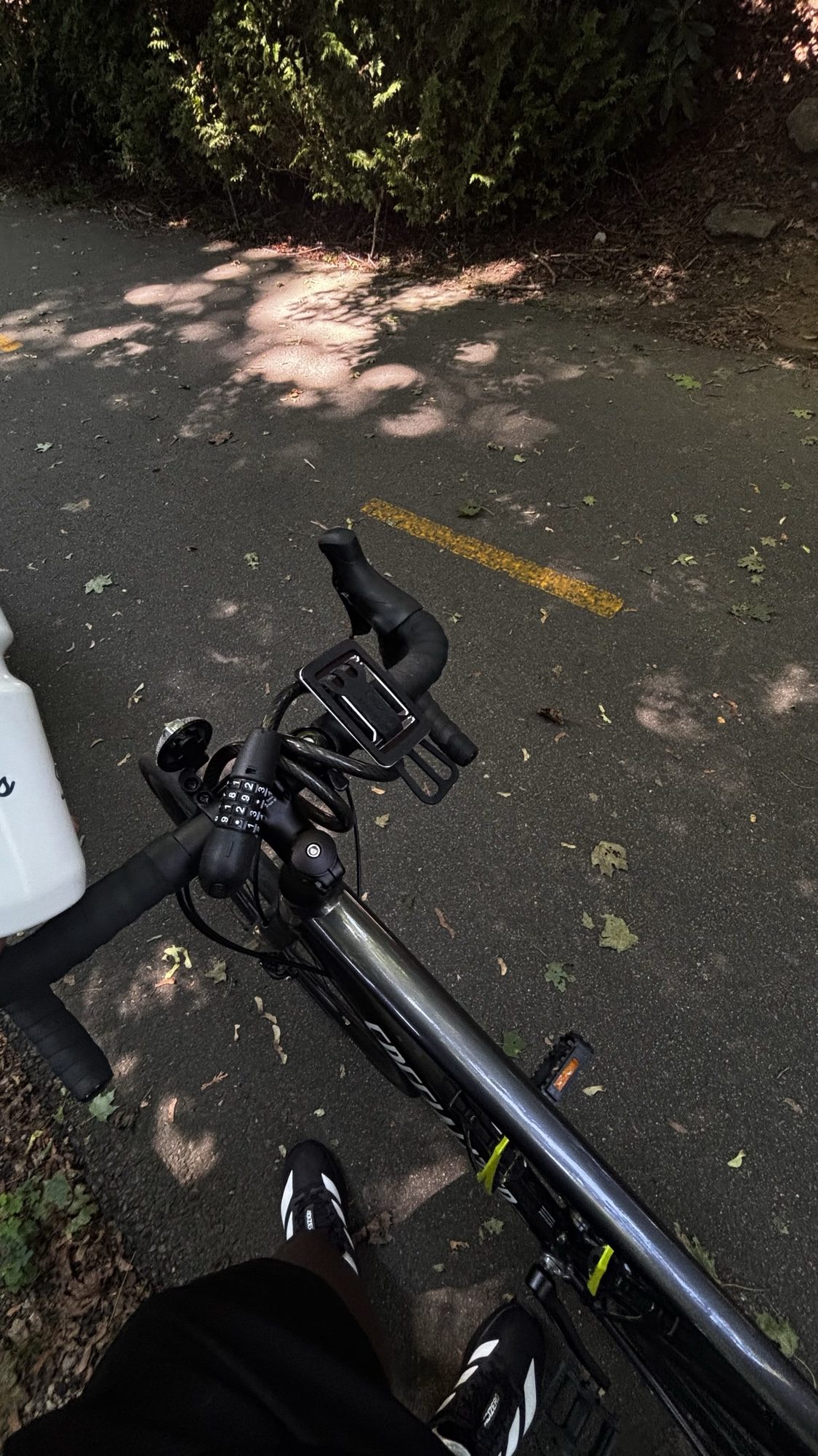 Handlebars of a bike on a leaf-dappled path