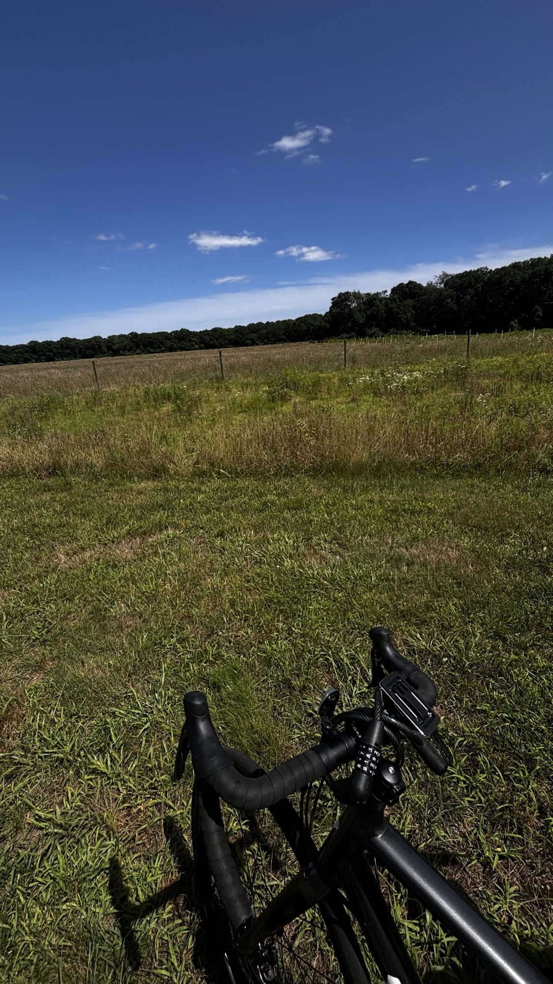 Bicycle lying in a grassy field under a blue sky
